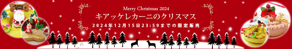 クリスマス2024